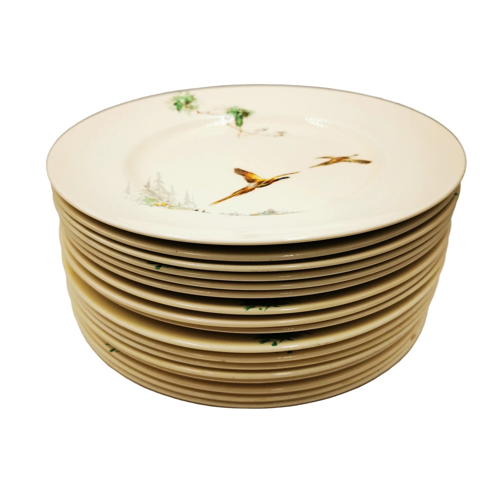 Royal Doulton China The Coppice D5803 Dinner Plate