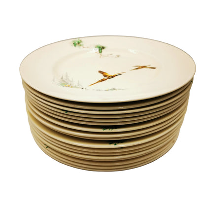 Royal Doulton China The Coppice D5803 Dinner Plate