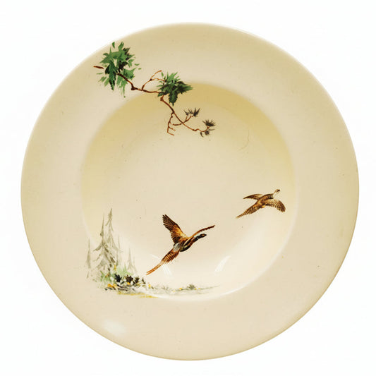 Royal Doulton China The Coppice D5803 Rimmed Soup Bowl