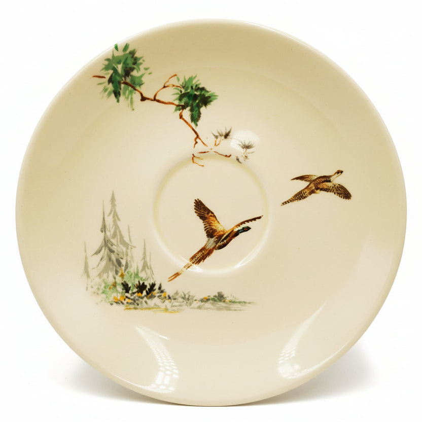 Royal Doulton China The Coppice D5803 Saucer