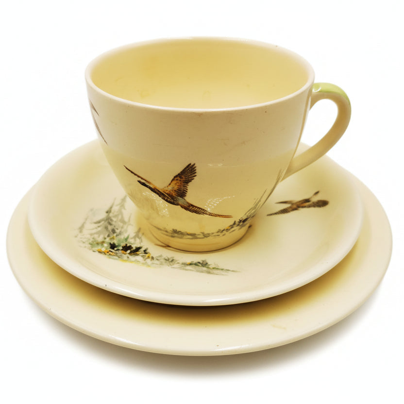 Royal Doulton China The Coppice D5803 Teacup Saucer and Side Plate