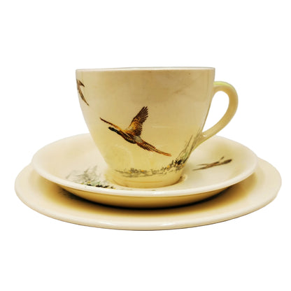 Royal-Doulton-China-The-Coppice-D5803-Teacup-Saucer-and-Side-Plate
