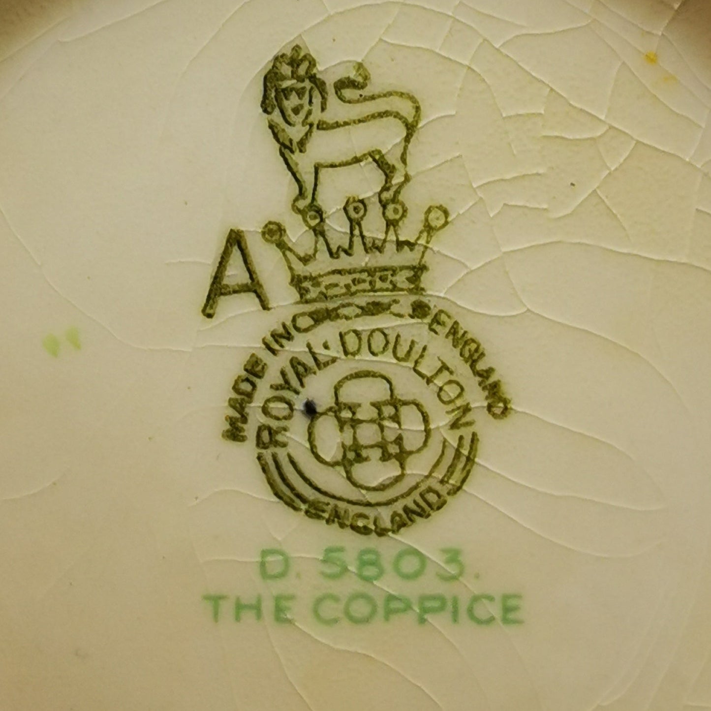 Royal-Doulton-China-The-Coppice-D5803-Tall-Coffee-Pot
