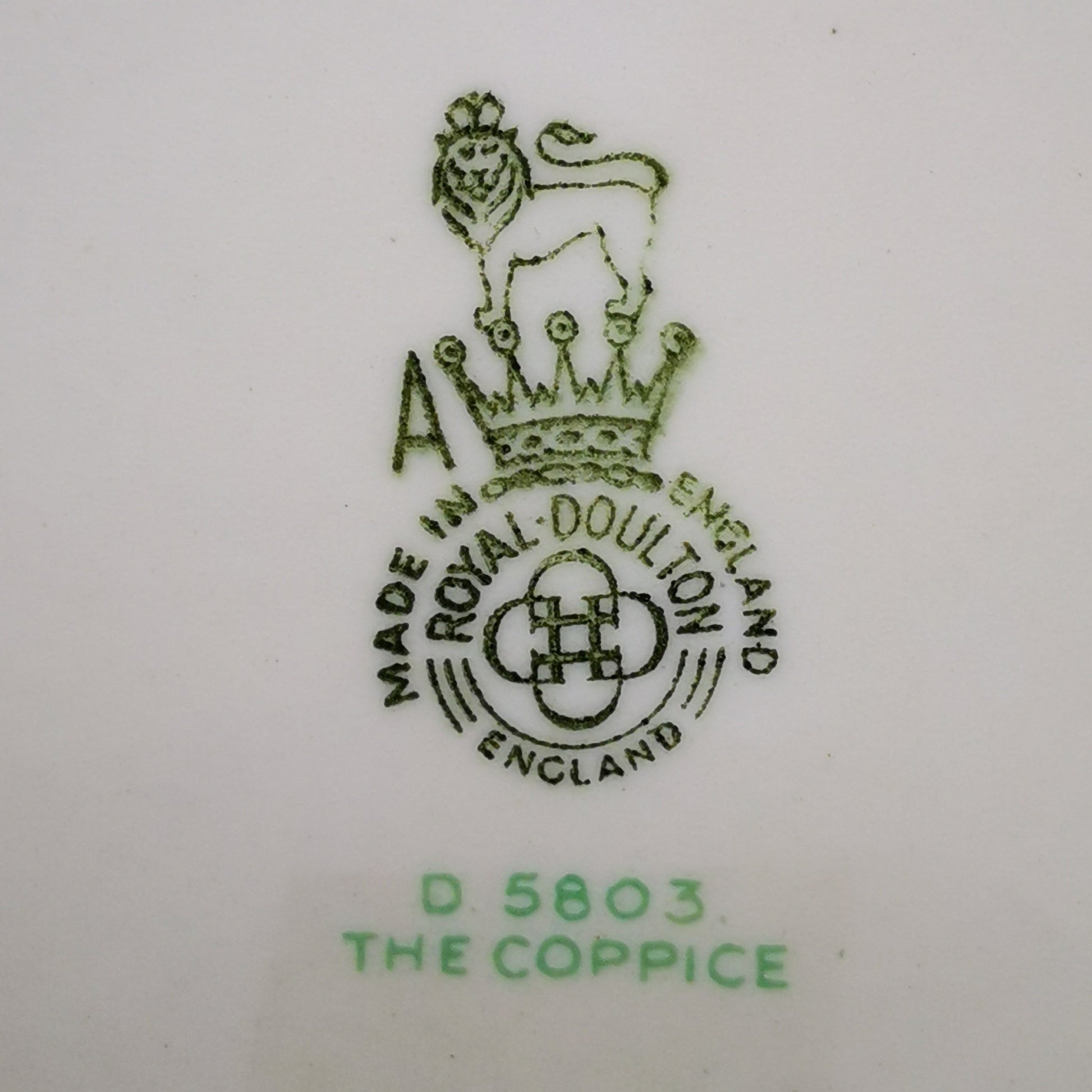 Royal-Doulton-China-The-Coppice-D5803-Teacup-Saucer-and-Side-Plate