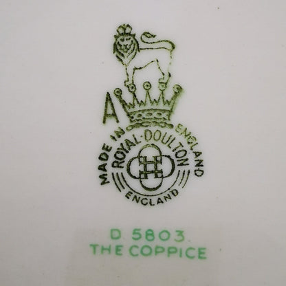 Royal-Doulton-China-The-Coppice-D5803-Teacup-Saucer-and-Side-Plate