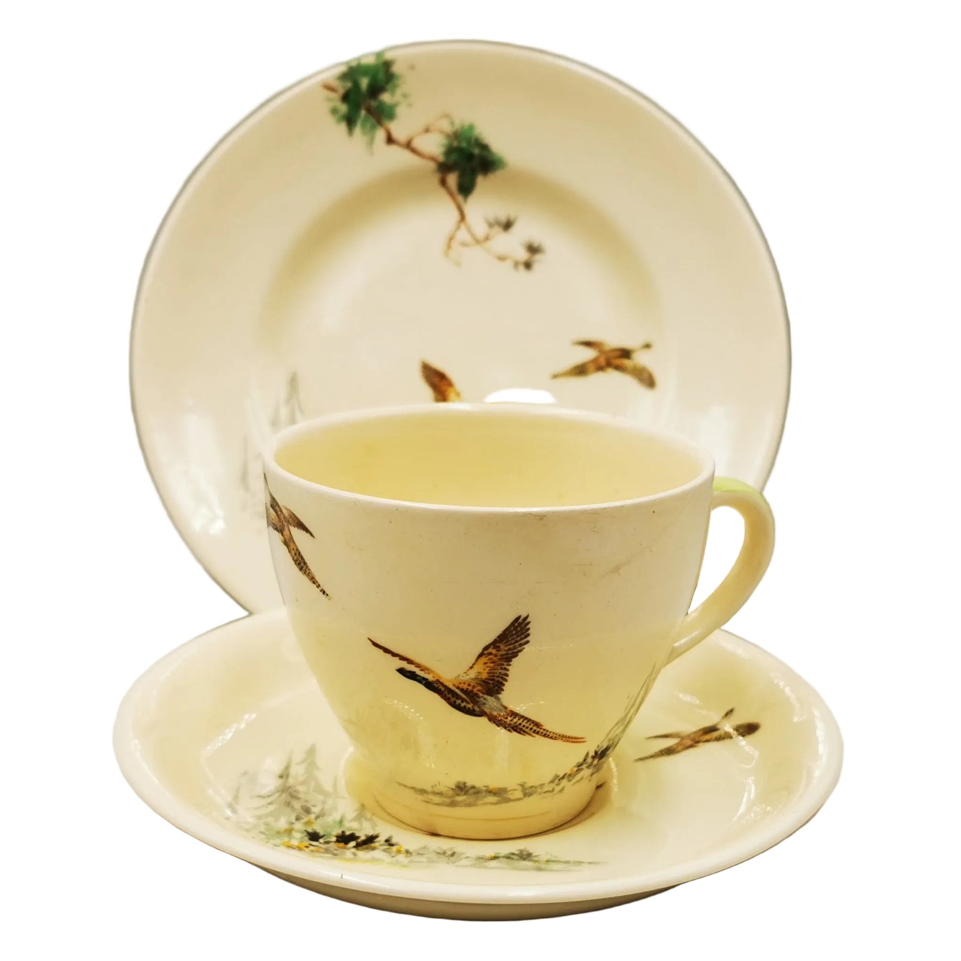 Royal-Doulton-China-The-Coppice-D5803-Teacup-Saucer-and-Side-Plate