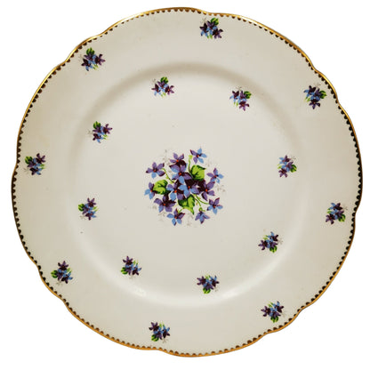 Royal Stafford Sweet Violets China Dinner Plate Hand Painted Floral China