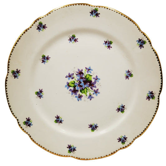 Royal Stafford Sweet Violets China Dinner Plate Hand Painted Floral China