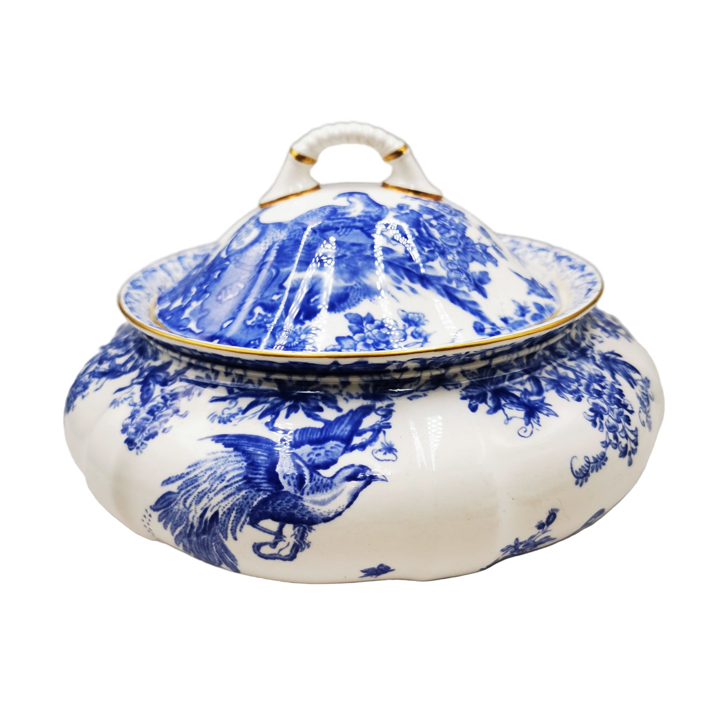 Royal Crown Derby China Blue Aves A1309 Lidded Tureen 1954