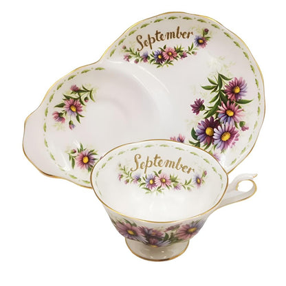 Royal Albert Flowers of the Month Series Floral China Tea Cup & Saucer Plate Michaelmas Daisy September