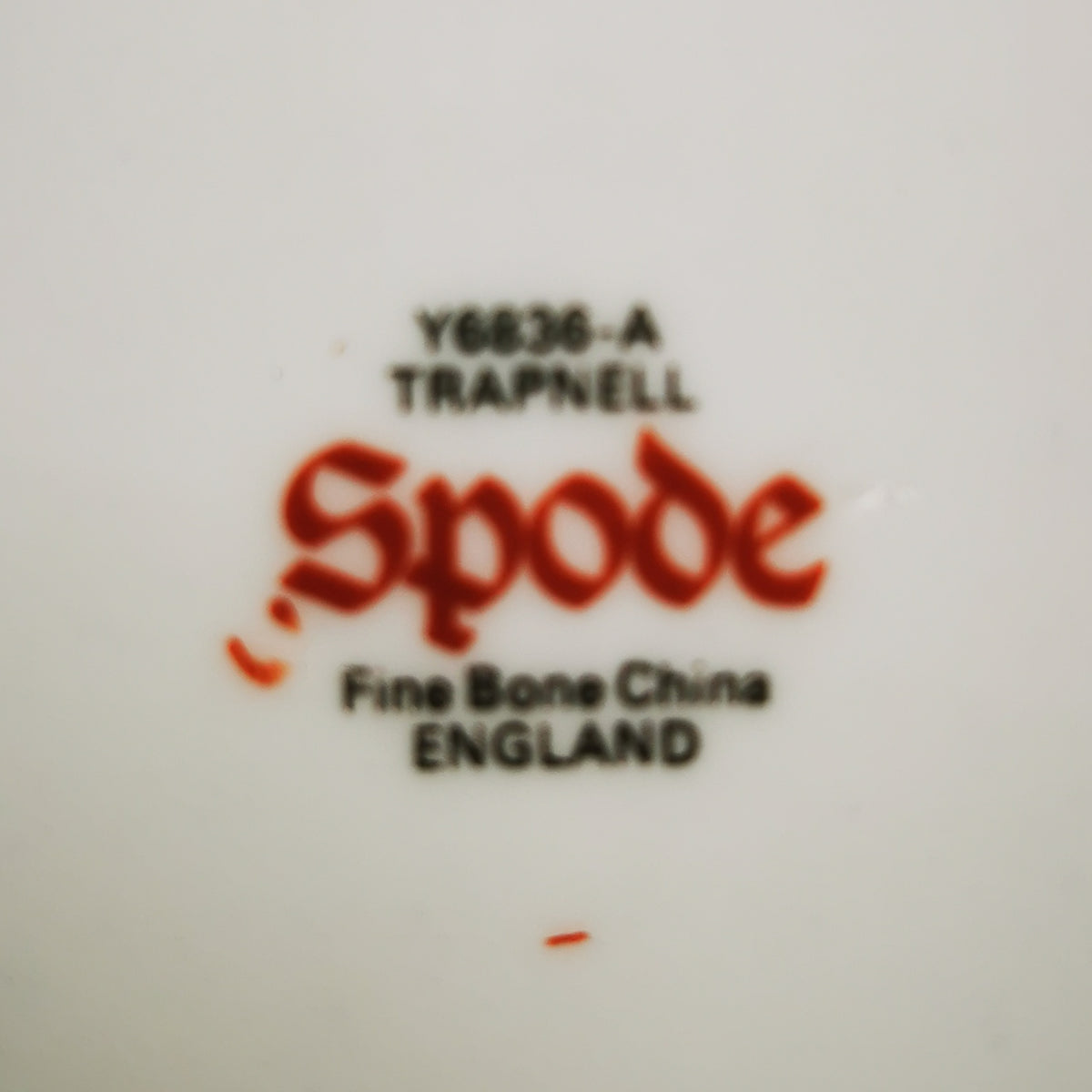 Spode-China-Trapnell-Sprays-Y8403-A-Dinner-Plate