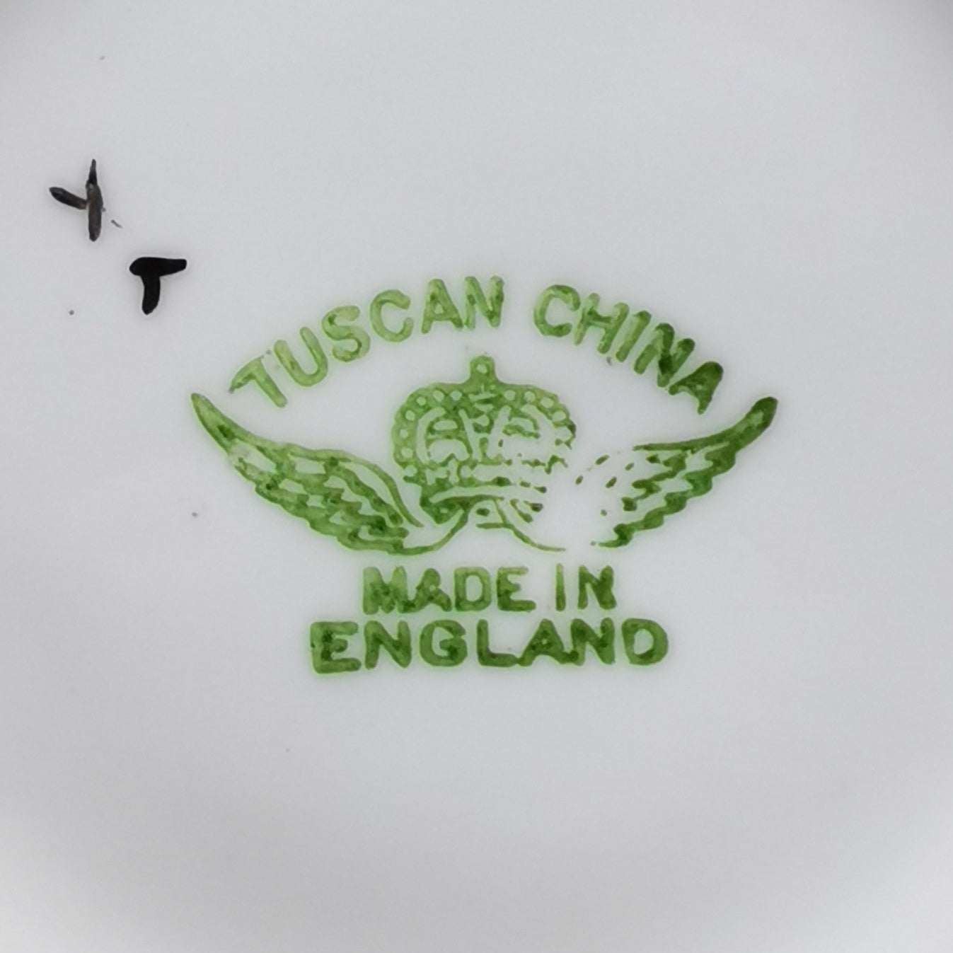 Tuscan-Hand-Painted-Tulips-Demitasse-Coffee-Cup-308-1936-1947-R-H-&-S-L-Plant-Floral-China