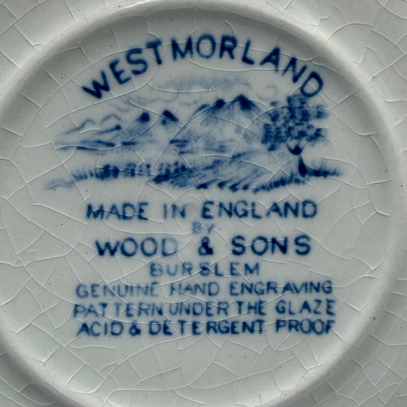 Woods-&-Sons-Blue-and-White-Westmorland-China-Tea-Cup-and-Saucer