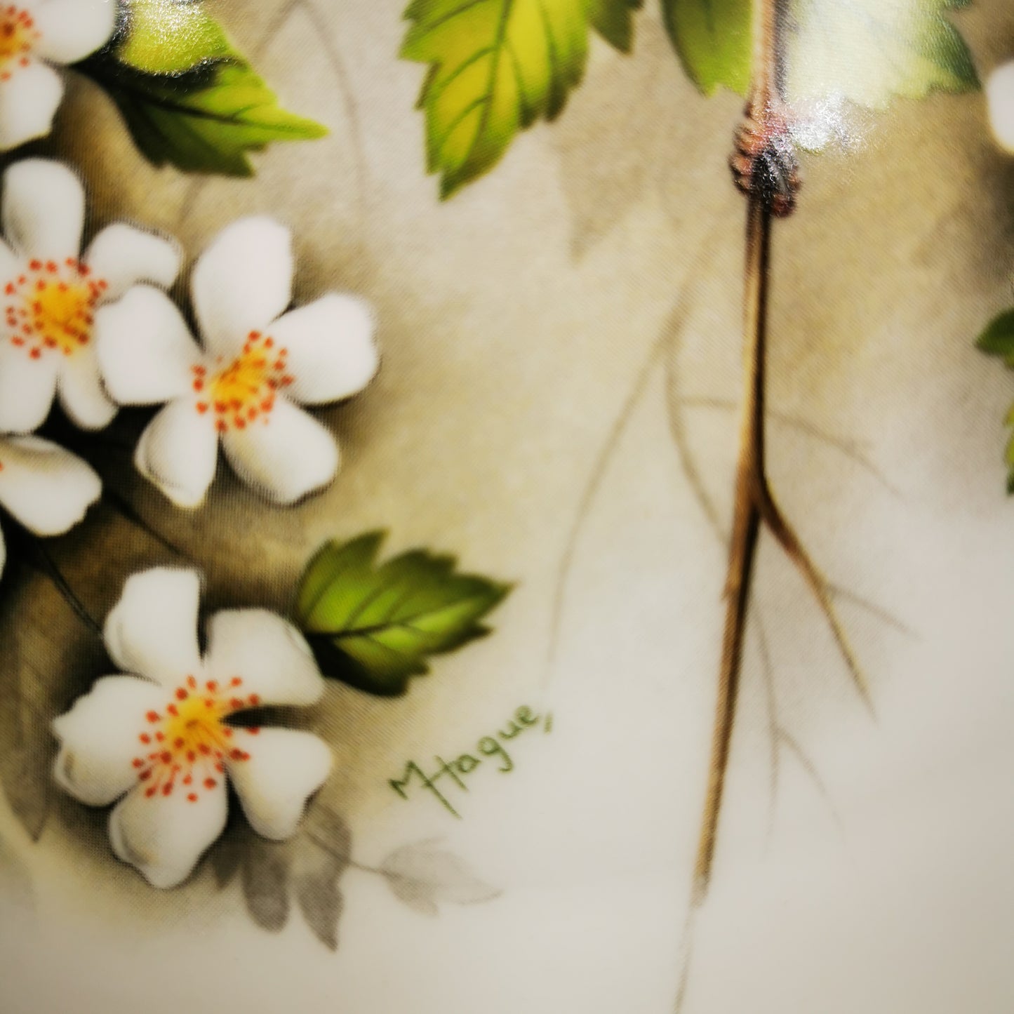 Worcester-Porcelain-China-Linnet-Wall-Plate
