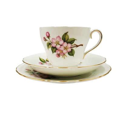 Vintage Adderley China Bramble H545 Teacup Saucer and Side Plate