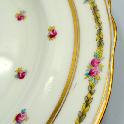 Antique Cauldon Porcelain Floral China 8627 pattern Dinner Plate