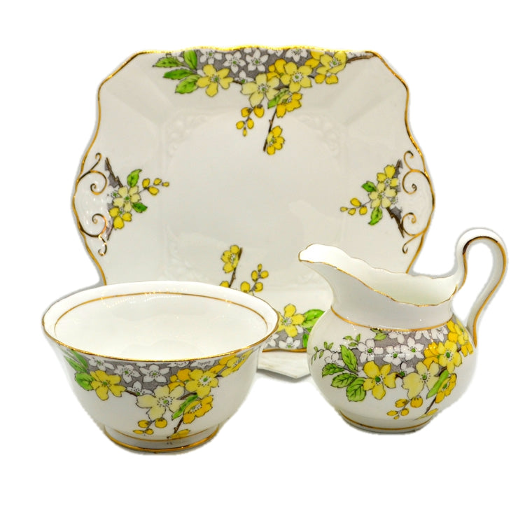 Tuscan Floral China C4332 Spring Blossom Part Teaset R H & S L Plant