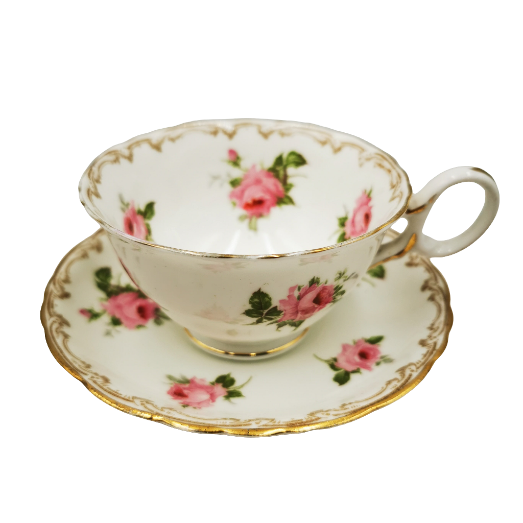 Bishop and Stonier Bisto Ironstone Floral China 1110 Teacup and Saucer