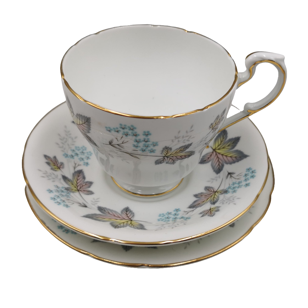 Paragon China Enchantment Breakfast Cup Saucer and Side Plate Trio