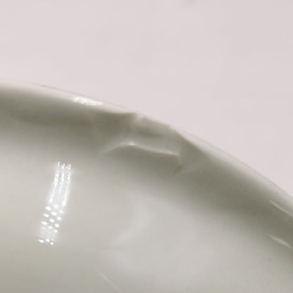 burleigh-mold-defect