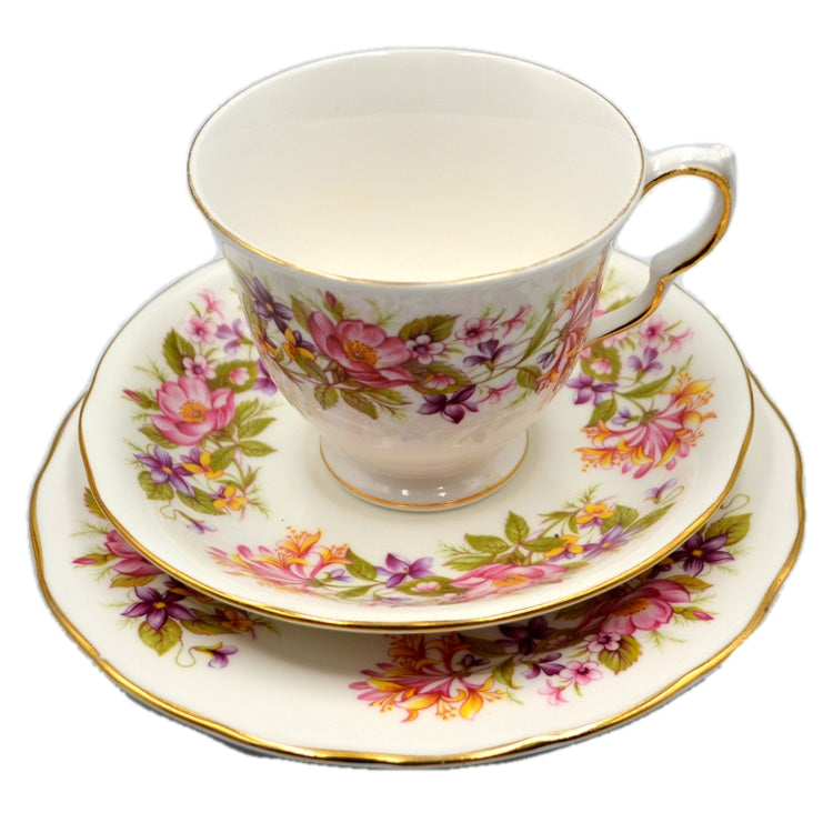 Colclough Wayside 8581 Bone China C-Shape Teacup Trio Doulton Period