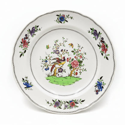 chelsea-spode