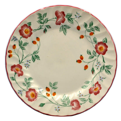 Churchill China Briar Rose 10-inch Dinner Plate