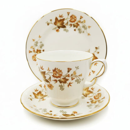 colclough avon teacup d-shape doulton period aon china