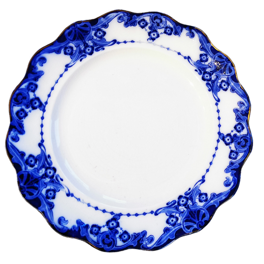 egerton royal doulton china dinner plate