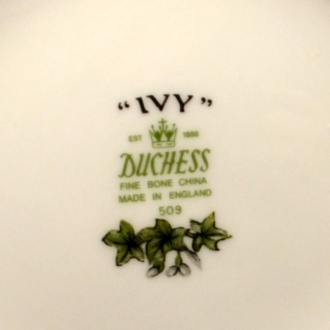 Duchess China Ivy pattern 509 Teapot