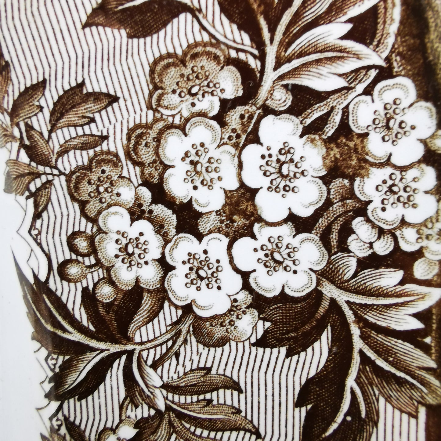 Beech Hancock & Co English Scenery Ironstone China Platter