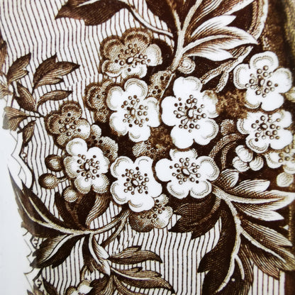 Beech Hancock & Co English Scenery Ironstone China Platter