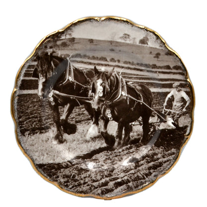 Nelson Fine Bone China Agricultural Scenes Ploughing Match Plate