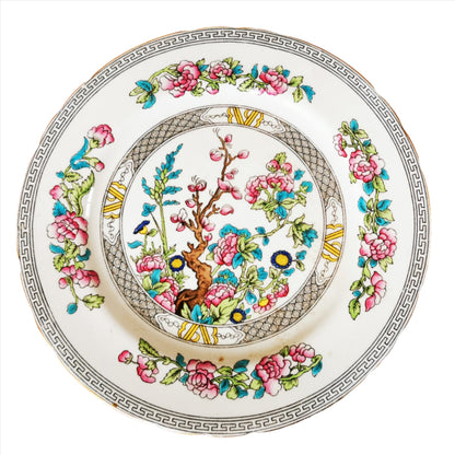 Antique Aynsley China Indian Tree Dessert Plate – Vintage