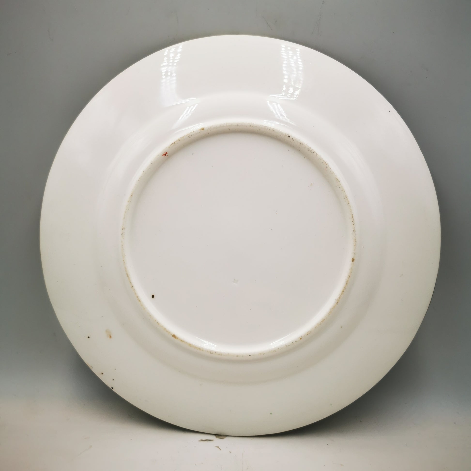 indian-tree-coalport