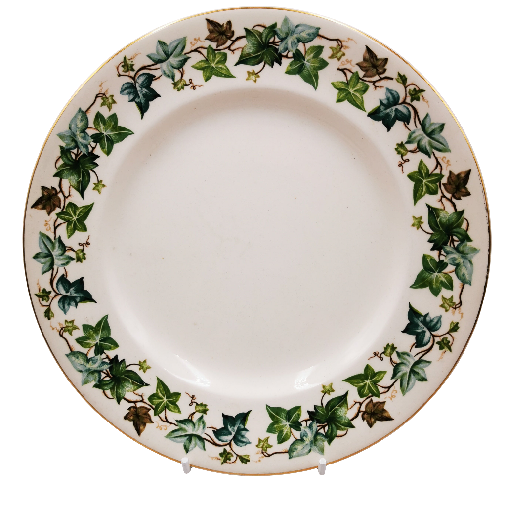 Johnson Brothers White plate with green leaf pattern on a white background