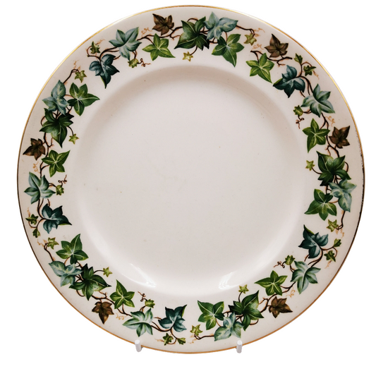 Johnson Brothers White plate with green leaf pattern on a white background