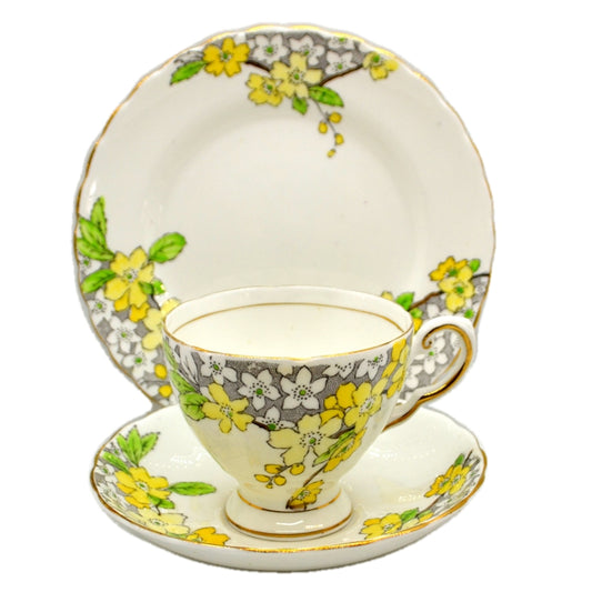 Tuscan Floral China C4332 Spring Blossom Teacup Saucer & Side Plate R H & S L Plant