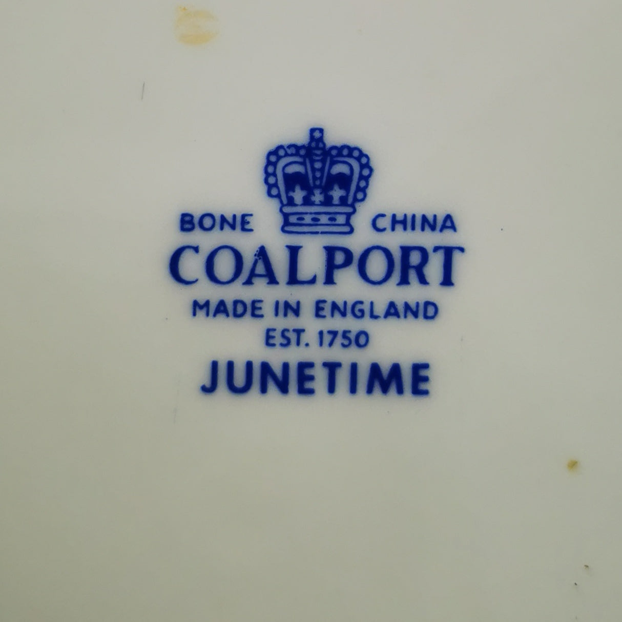Coalport China JuneTime Porcelain Dish