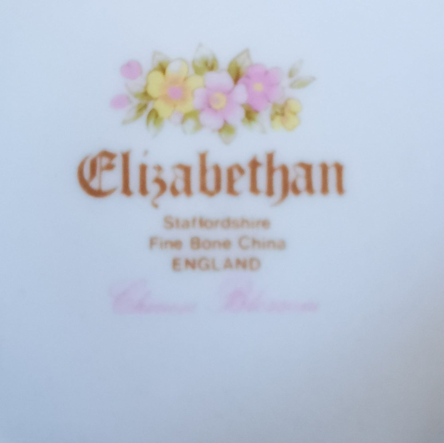 Elizabethan Bone China Chinese Blossom Mug