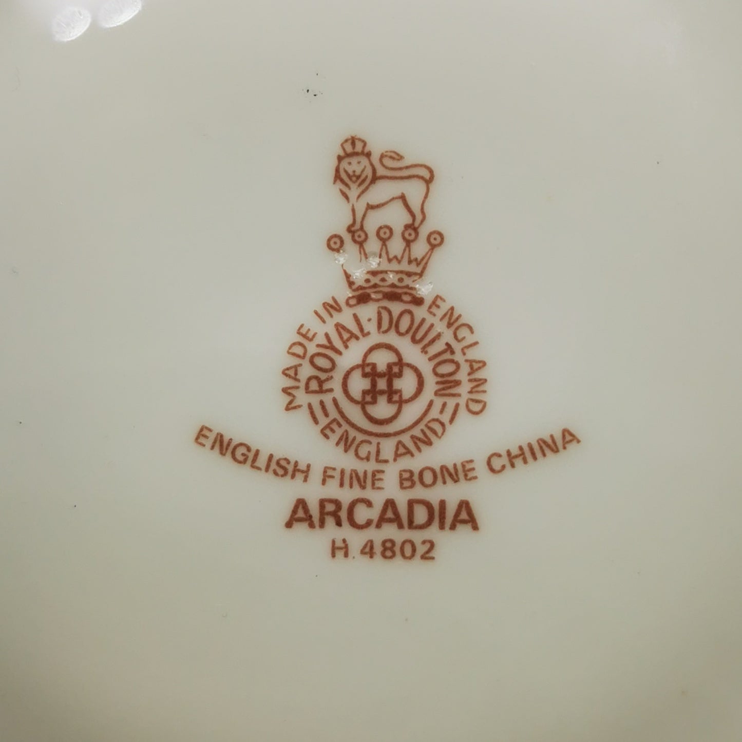 Royal Doulton China Arcadia H4802 Teacup and Saucer