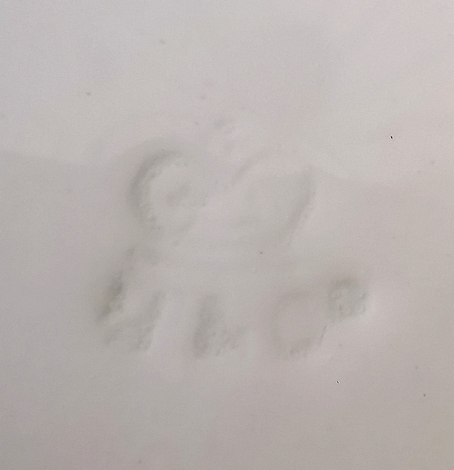 Antique Mintons Floral Porcelain China Teacup, Saucer & Side Plate Trio Rd No 195702