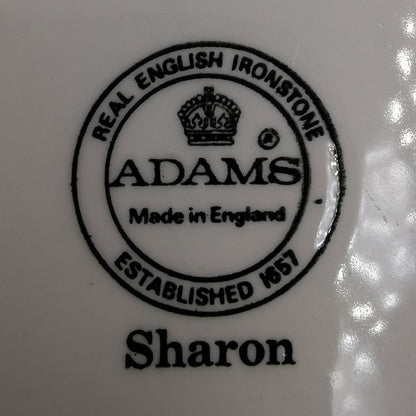 Adams Sharon Brown and White China 9-inch Dessert Plate