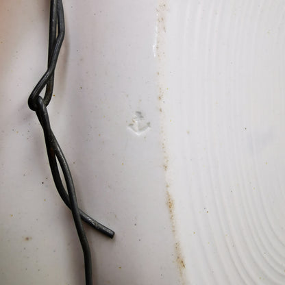 Antique Staffordshire Blue and White China Willow Platter