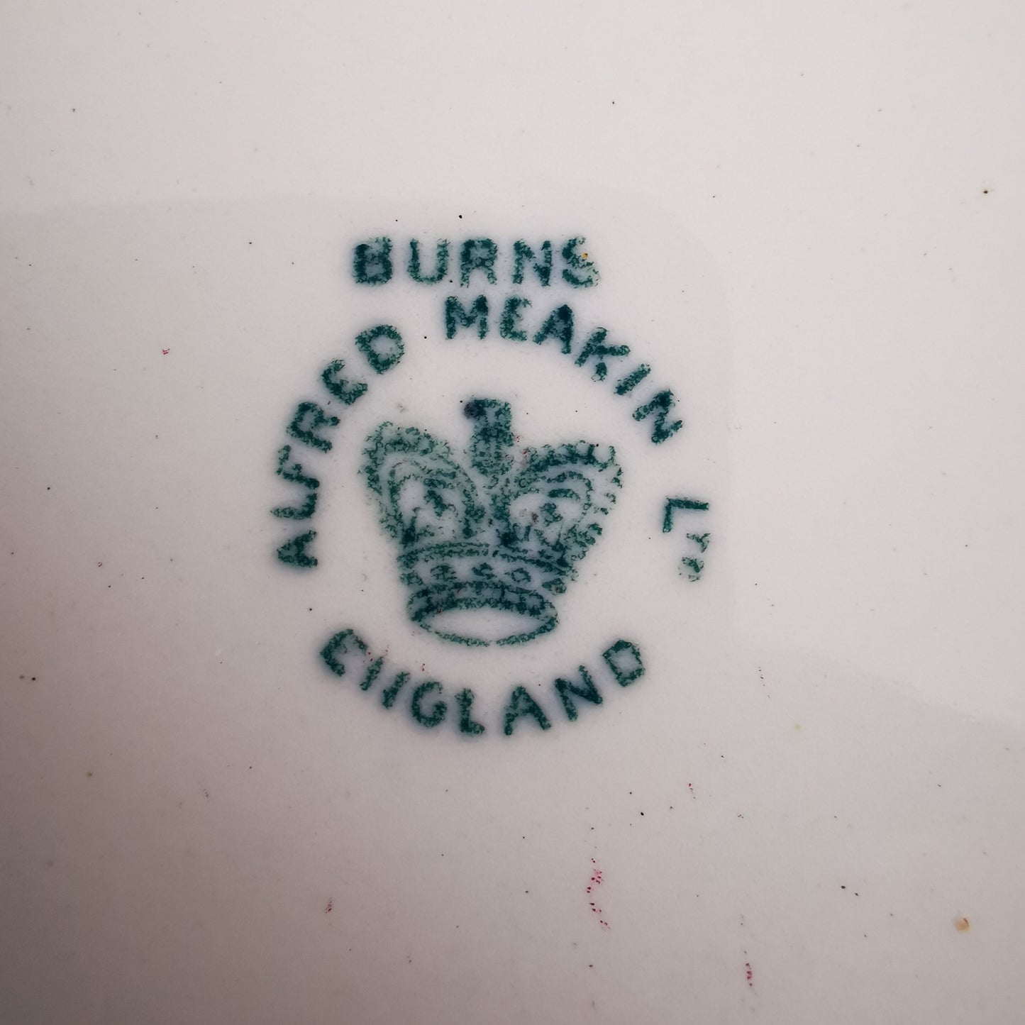 Alfred Meakin Burns Turquoise and White China 10-Inch Dinner Plate c1907