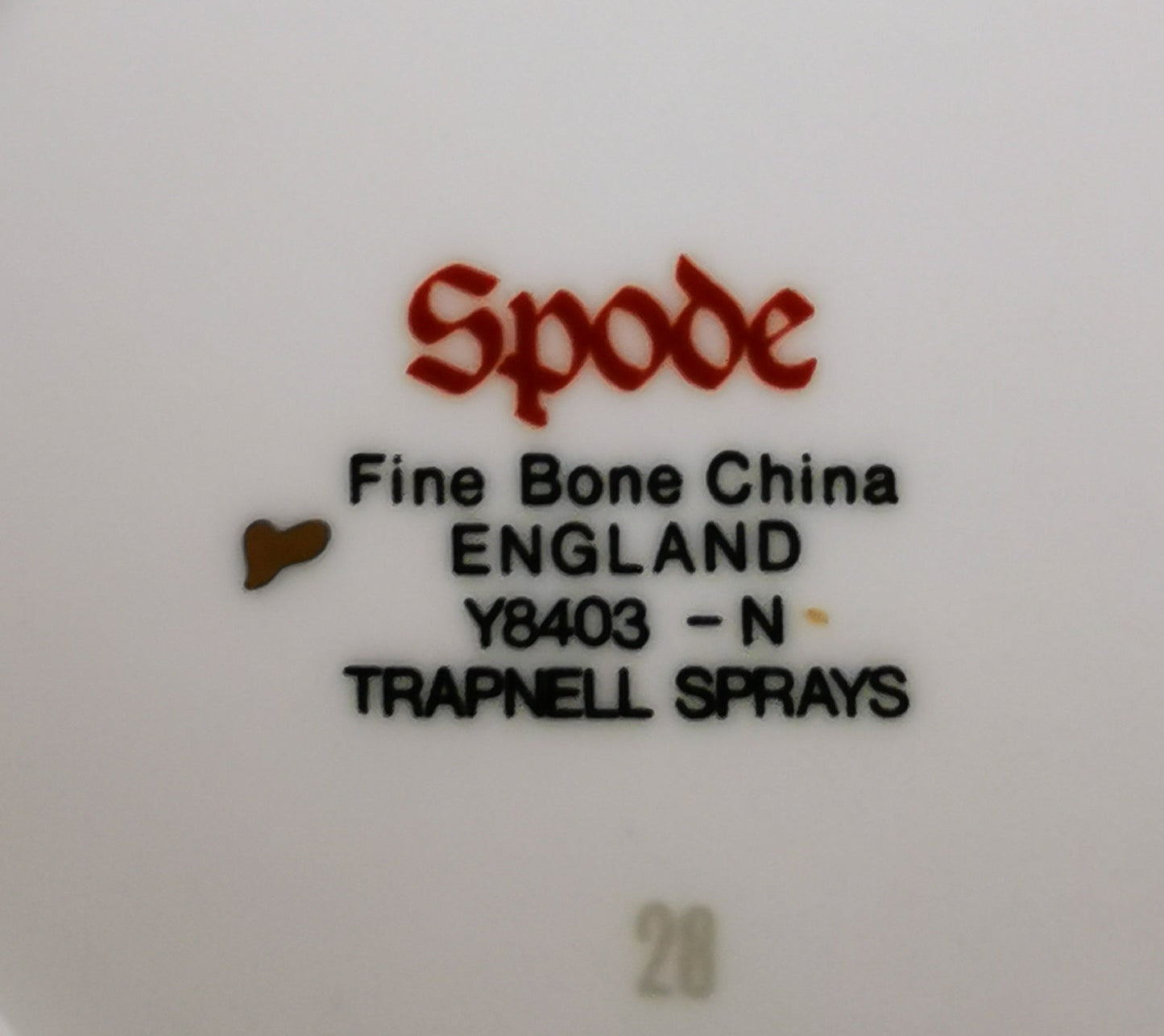 Spode China Trapnell Sprays Y8403 Demitasse Coffee Cups