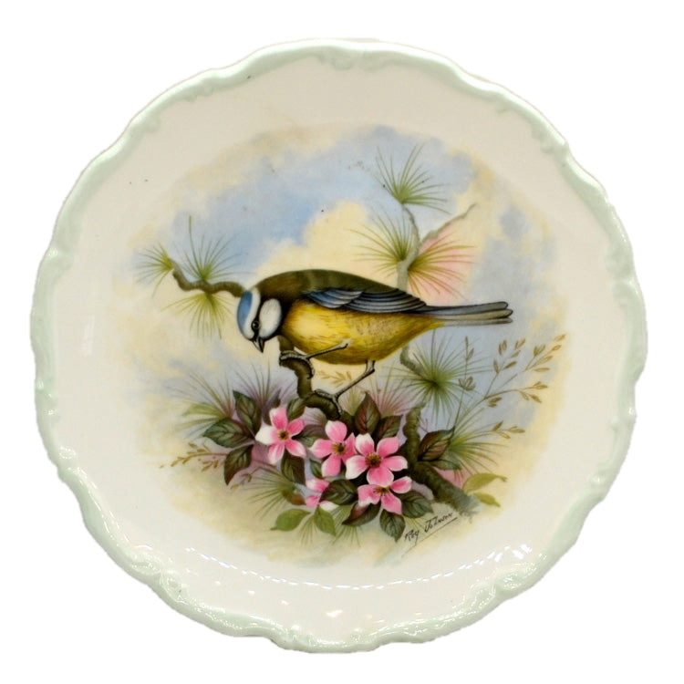 Royal Albert China Woodland Birds Collection Blue Tit Cabinet Plate