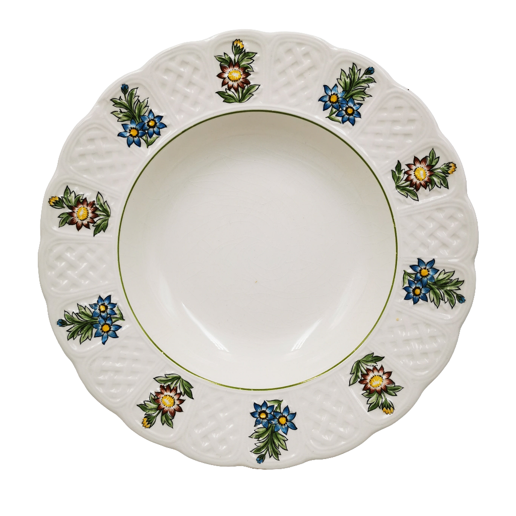 Royal Cauldon Bristol Ironstone China June Garden Rimmed Soup Bowl