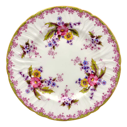 shelley china dinner plate No 1 purple