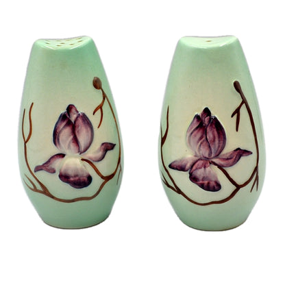 Carlton Ware Australia Magnolia China Vintage Salt & Pepper Pot Set